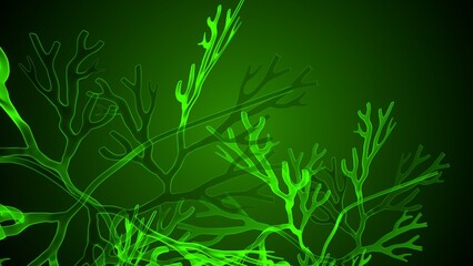 Greece and Halkidiki anatomy. 3d illustration