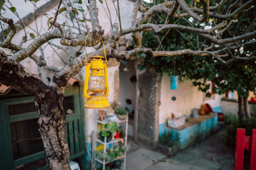 Yellow Kerosene Lantern Hanging on Tree Near House