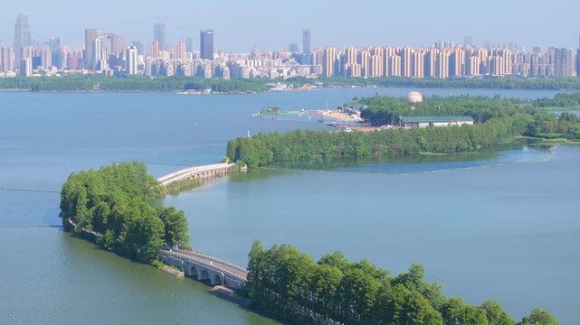 Summer scenery of Wuhan East Lake Scenic Area