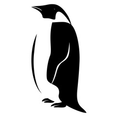 penguin isolated on white