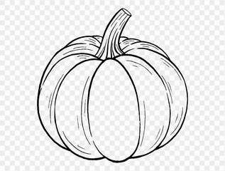 Outline pumpkin hand draw with brush style isolated on png or transparent texture,Halloween party background ,element template for poster, brochures, online advertising, vector illustration