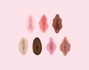 Vulva. Female reproductive system. Flat style icons. Vector