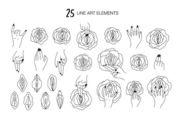 Female vulva and clitoris. Line art. Vulva flowers. Hand touching flower. Vector