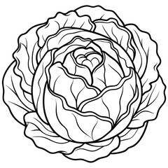 Obraz premium Cabbage Cartoon-Style Vector Illustration in Line Art on White Background – Simple, Clean Design in PNG Format for Healthy Food Icons, Digital Graphics, and Vegetable Illustrations
