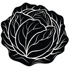 Obraz premium Cabbage Cartoon-Style Vector Illustration in Line Art on White Background – Simple, Clean Design in PNG Format for Healthy Food Icons, Digital Graphics, and Vegetable Illustrations