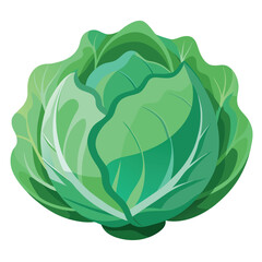 Obraz premium Cabbage Cartoon-Style Vector Illustration in Line Art on White Background – Simple, Clean Design in PNG Format for Healthy Food Icons, Digital Graphics, and Vegetable Illustrations