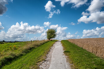 Fields around the city of Hedensted in Jutland in Denmark