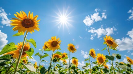 Depict a sunny day in an expansive sunflower field, with bright yellow flowers stretching towards the sun and a clear blue sky overhead