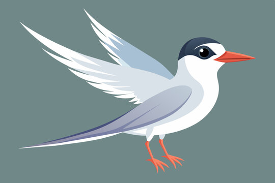 recommend clip art: Cute bird of tern bird vector art illustration