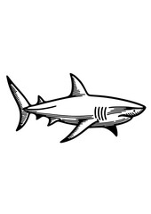 Sea Animals SVG, Sealife SVG, Seahorse SVG, Shark SVG, Dolphin SVG, Whale SVG, Starfish SVG, Crab SVG, Ocean SVG, Seal SVG, Fish SVG, Jellyfish SVG, Oceanlife Clipart, Sea Animals Silhouette, JPG, PNG