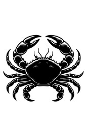 Sea Animals SVG, Sealife SVG, Seahorse SVG, Shark SVG, Dolphin SVG, Whale SVG, Starfish SVG, Crab SVG, Ocean SVG, Seal SVG, Fish SVG, Jellyfish SVG, Oceanlife Clipart, Sea Animals Silhouette, JPG, PNG