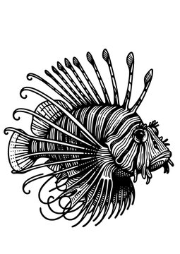 recommend clip art: Sea Animals SVG, Sealife SVG, Seahorse SVG, Shark SVG, Dolphin SVG, Whale SVG, Starfish SVG, Crab SVG, Ocean SVG, Seal SVG, Fish SVG, Jellyfish SVG, Oceanlife Clipart, Sea Animals Silhouette, JPG, PNG