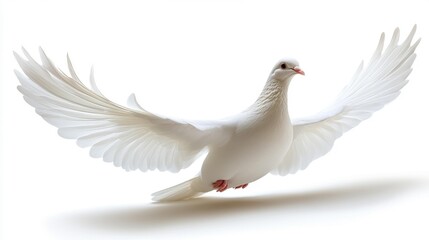 Obraz premium Majestic White Dove in Flight - Generative AI