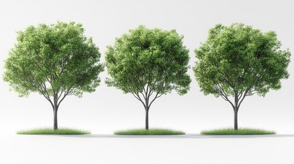 Obraz premium Three Green Trees in a Row on White Background Generative AI