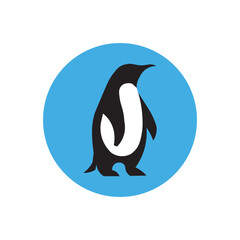 penguin illustration