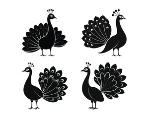Set of black the peacock silhouettes.