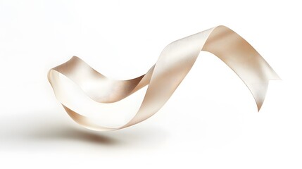 CG Floating Ribbon with Soft Shadows: A smooth, flowing CG ribbon twisting and turning in mid-air, set against a white background.
