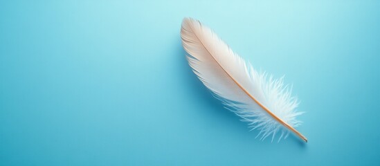 Naklejka premium Serene Feather on Blue Background
