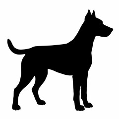 Dog Breeds Silhouette Svg Bundle, Dog Breed Svg, Dog Silhouette