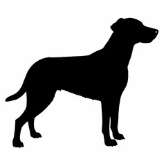 Dog Breeds Silhouette Svg Bundle, Dog Breed Svg, Dog Silhouette