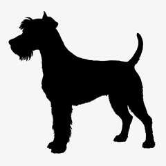 Dog Breeds Silhouette Svg Bundle, Dog Breed Svg, Dog Silhouette