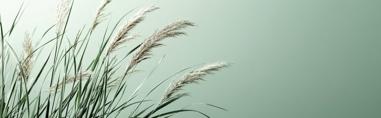 Tall blades of grass against a soft mint green background, with a minimalist design and ample space for text