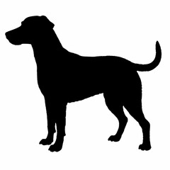 Dog Breeds Silhouette Svg Bundle, Dog Breed Svg, Dog Silhouette