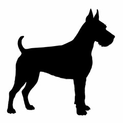 Dog Breeds Silhouette Svg Bundle, Dog Breed Svg, Dog Silhouette