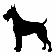 Dog Breeds Silhouette Svg Bundle, Dog Breed Svg, Dog Silhouette