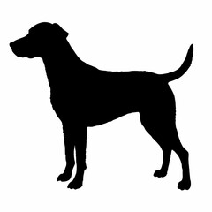 Dog Breeds Silhouette Svg Bundle, Dog Breed Svg, Dog Silhouette