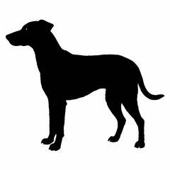 Dog Breeds Silhouette Svg Bundle, Dog Breed Svg, Dog Silhouette