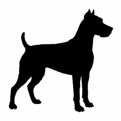 Dog Breeds Silhouette Svg Bundle, Dog Breed Svg, Dog Silhouette