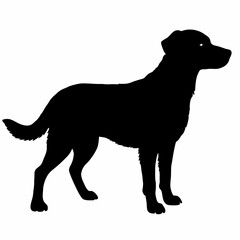 Dog Breeds Silhouette Svg Bundle, Dog Breed Svg, Dog Silhouette