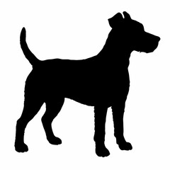 Dog Breeds Silhouette Svg Bundle, Dog Breed Svg, Dog Silhouette