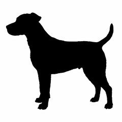 Dog Breeds Silhouette Svg Bundle, Dog Breed Svg, Dog Silhouette