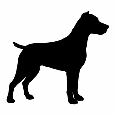 Dog Breeds Silhouette Svg Bundle, Dog Breed Svg, Dog Silhouette