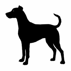 Dog Breeds Silhouette Svg Bundle, Dog Breed Svg, Dog Silhouette