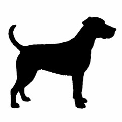 Dog Breeds Silhouette Svg Bundle, Dog Breed Svg, Dog Silhouette