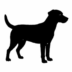 Dog Breeds Silhouette Svg Bundle, Dog Breed Svg, Dog Silhouette