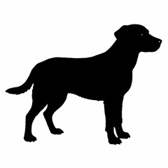 Dog Breeds Silhouette Svg Bundle, Dog Breed Svg, Dog Silhouette