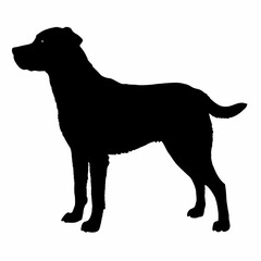 Dog Breeds Silhouette Svg Bundle, Dog Breed Svg, Dog Silhouette