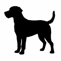 Dog Breeds Silhouette Svg Bundle, Dog Breed Svg, Dog Silhouette