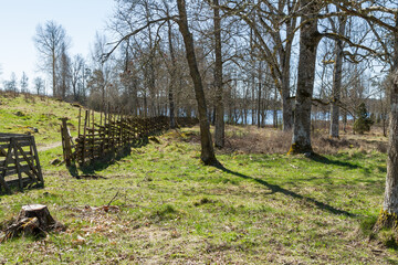 Pasture with an old fence of juniper posts © Björn Kristersson