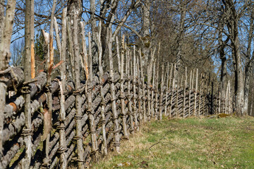 Pasture with an old fence of juniper posts © Björn Kristersson