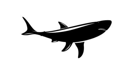 Fototapeta premium Great White Shark, black isolated silhouette