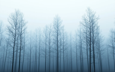 Fototapeta premium Eerie winter forest with leafless trees shrouded in thick fog, creating a mystical and serene atmosphere. Cold, quiet, and tranquil.