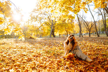 A joyful woman enjoying a sunny autumn day in a park, surrounded by vibrant yellow leaves and a serene atmosphere. Leisure activity.