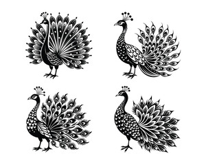 peacock black and white silhouette.