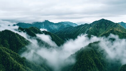 Fototapeta premium The mountains are covered in a thick layer of fog, creating a serene