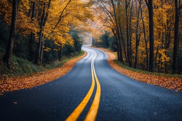 Obraz premium Winding autumn road through serene forest with vibrant fall foliage